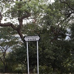 Wu Kau Tang to Luk Keng