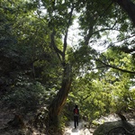 Lion Rock to Beacon Hill