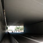 Lion Rock to Amah Rock