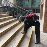 MeiFoo to Cheung Sha Wan