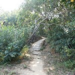 MeiFoo to Cheung Sha Wan