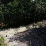 MeiFoo to Cheung Sha Wan