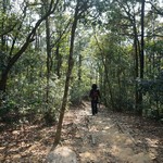 MeiFoo to Cheung Sha Wan