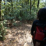 MeiFoo to Cheung Sha Wan