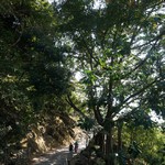 Wong Tai Sin to MeiFoo