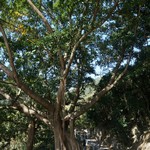 Wong Tai Sin to MeiFoo