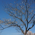 MeiFoo to Wong Tai Sin