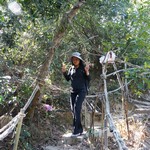 MeiFoo to Wong Tai Sin