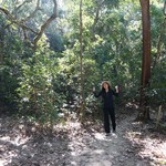 MeiFoo to Wong Tai Sin