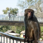 MeiFoo to Wong Tai Sin