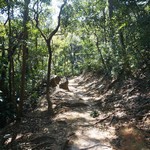 MeiFoo to Wong Tai Sin