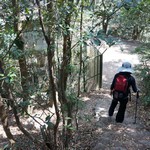 MeiFoo to Wong Tai Sin