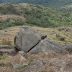 Tai Mo Shan