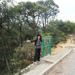 Shing Mun Reservoir