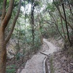 Shing Mun Reservoir