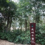 Shing Mun Reservoir