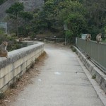 Shing Mun Reservoir