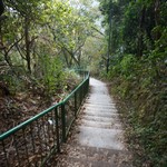 Shing Mun Reservoir
