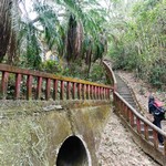 Tsz Wan Shan and Kowloon Peak