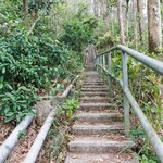 Tsz Wan Shan and Kowloon Peak