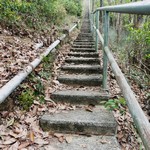 Tsz Wan Shan and Kowloon Peak