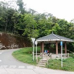 Tsz Wan Shan and Kowloon Peak