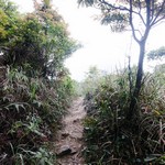 Tsz Wan Shan and Kowloon Peak