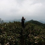 Tsz Wan Shan and Kowloon Peak