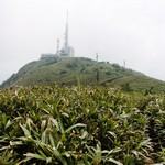 Tsz Wan Shan and Kowloon Peak