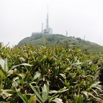 Tsz Wan Shan and Kowloon Peak