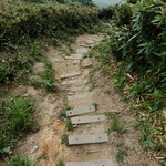 Tsz Wan Shan and Kowloon Peak