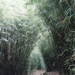 Tsz Wan Shan and Kowloon Peak