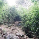 Tsz Wan Shan and Kowloon Peak