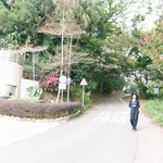 Tsz Wan Shan and Kowloon Peak